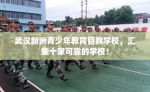 武汉新洲青少年教育管教学校，汇集十家可靠的学校！