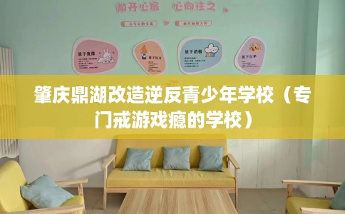 肇庆鼎湖改造逆反青少年学校（专门戒游戏瘾的学校）