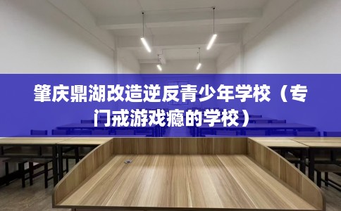 肇庆鼎湖改造逆反青少年学校（专门戒游戏瘾的学校）