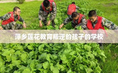 萍乡莲花教育叛逆的孩子的学校