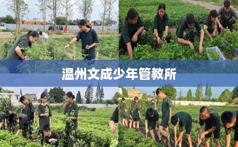 温州文成少年管教所