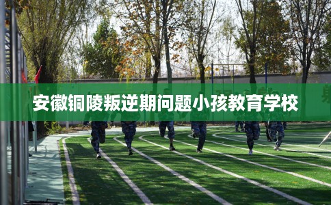 安徽铜陵叛逆期问题小孩教育学校