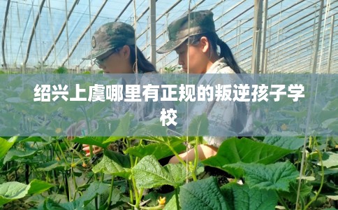 绍兴上虞哪里有正规的叛逆孩子学校