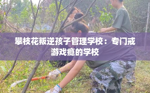 攀枝花叛逆孩子管理学校：专门戒游戏瘾的学校