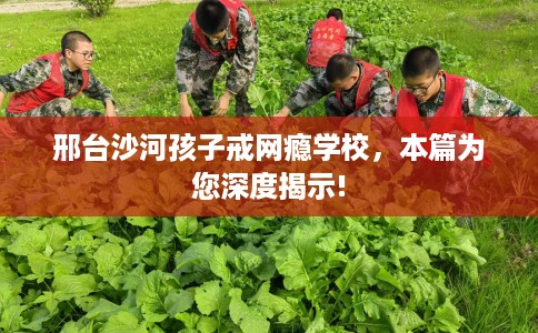 邢台沙河孩子戒网瘾学校，本篇为您深度揭示!
