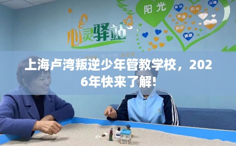 上海卢湾叛逆少年管教学校，2026年快来了解!