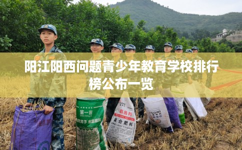 阳江阳西问题青少年教育学校排行榜公布一览
