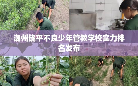 潮州饶平不良少年管教学校实力排名发布