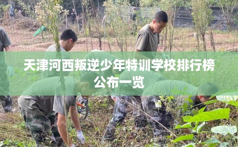 天津河西叛逆少年特训学校排行榜公布一览