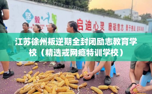 江苏徐州叛逆期全封闭励志教育学校（精选戒网瘾特训学校）