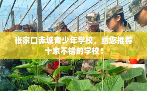 张家口赤城青少年学校,给您推荐十家不错的学校! 张家口赤城青少年学校,给您推荐十家不错的学校!