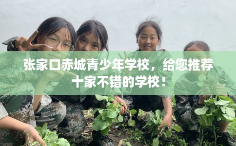 张家口赤城青少年学校,给您推荐十家不错的学校! 张家口赤城青少年学校,给您推荐十家不错的学校!