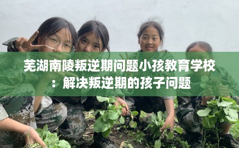 芜湖南陵叛逆期问题小孩教育学校：解决叛逆期的孩子问题