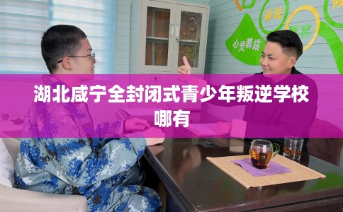 湖北咸宁全封闭式青少年叛逆学校哪有