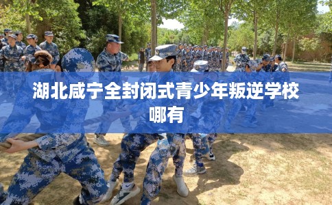 湖北咸宁全封闭式青少年叛逆学校哪有