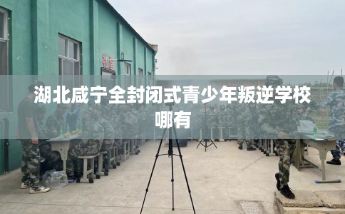 湖北咸宁全封闭式青少年叛逆学校哪有