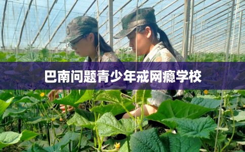 巴南问题青少年戒网瘾学校