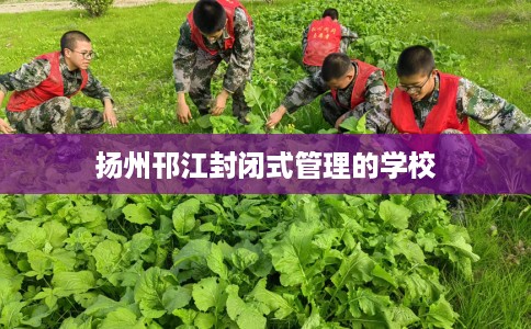 扬州邗江封闭式管理的学校