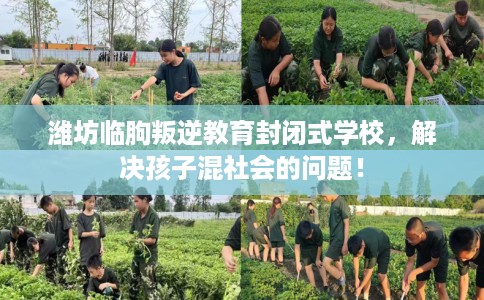 潍坊临朐叛逆教育封闭式学校，解决孩子混社会的问题！