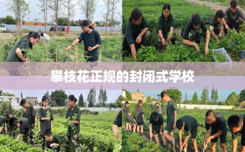 攀枝花正规的封闭式学校