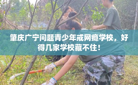 肇庆广宁问题青少年戒网瘾学校，好得几家学校藏不住！