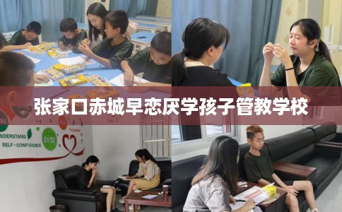 张家口赤城早恋厌学孩子管教学校