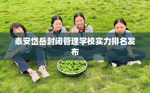 泰安岱岳封闭管理学校实力排名发布
