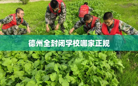 德州全封闭学校哪家正规