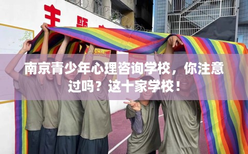南京青少年心理咨询学校，你注意过吗？这十家学校！