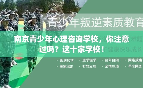 南京青少年心理咨询学校，你注意过吗？这十家学校！