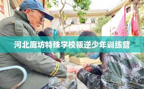 河北廊坊特殊学校叛逆少年训练营
