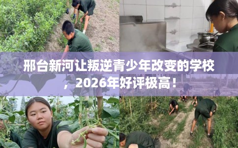邢台新河让叛逆青少年改变的学校，2026年好评极高！