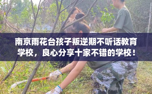 南京雨花台孩子叛逆期不听话教育学校，良心分享十家不错的学校！