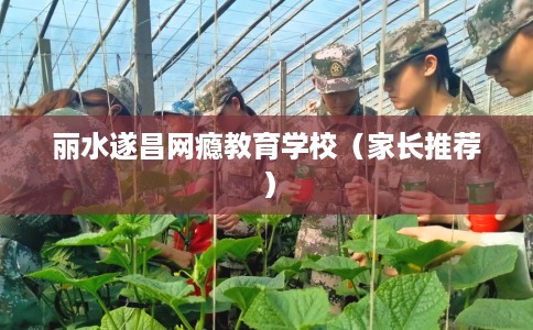 丽水遂昌网瘾教育学校（家长推荐）