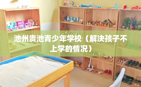 池州贵池青少年学校（解决孩子不上学的情况）