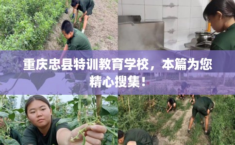重庆忠县特训教育学校，本篇为您精心搜集！