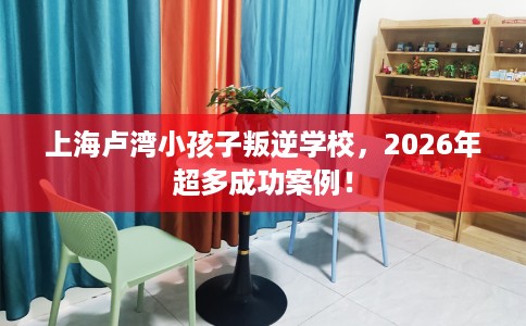 上海卢湾小孩子叛逆学校，2026年超多成功案例！