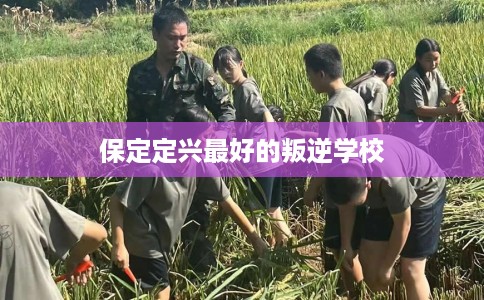 保定定兴最好的叛逆学校