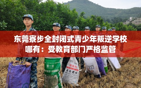 东莞寮步全封闭式青少年叛逆学校哪有：受教育部门严格监管