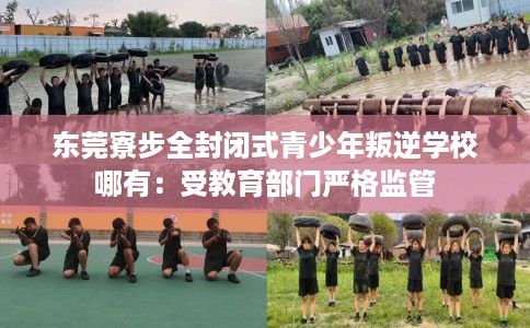 东莞寮步全封闭式青少年叛逆学校哪有：受教育部门严格监管