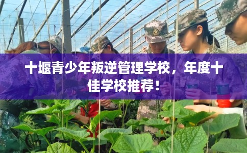十堰青少年叛逆管理学校，年度十佳学校推荐！