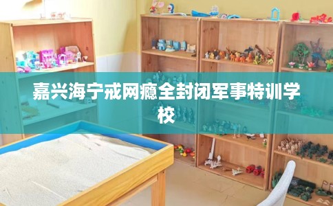 嘉兴海宁戒网瘾全封闭军事特训学校