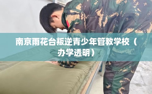南京雨花台叛逆青少年管教学校（办学透明）