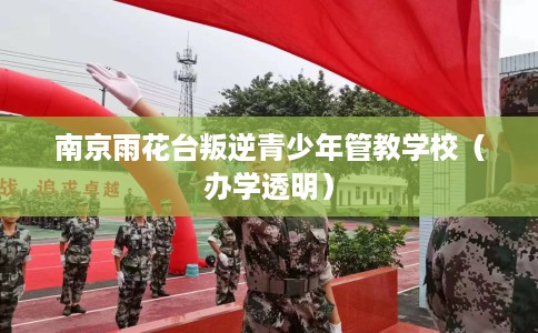 南京雨花台叛逆青少年管教学校（办学透明）