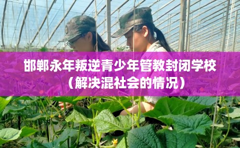 邯郸永年叛逆青少年管教封闭学校（解决混社会的情况）