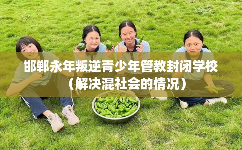 邯郸永年叛逆青少年管教封闭学校（解决混社会的情况）