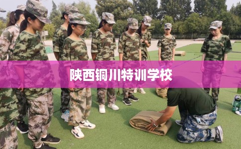 陕西铜川特训学校