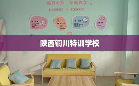 陕西铜川特训学校