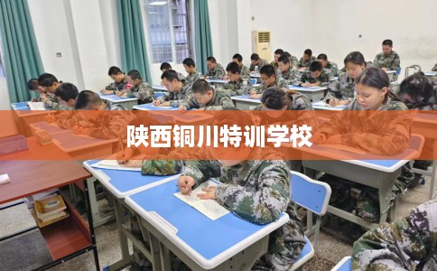 陕西铜川特训学校