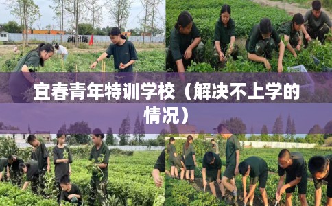 宜春青年特训学校（解决不上学的情况）